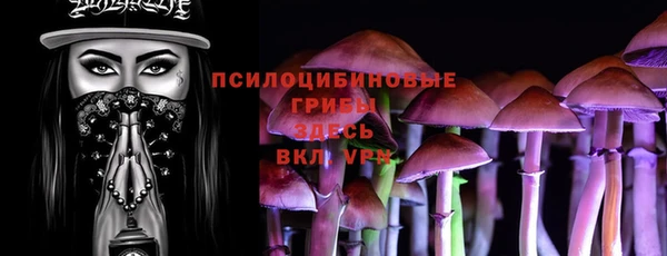 a pvp Киренск