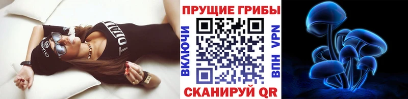 кракен   Рубцовск  Псилоцибиновые грибы мицелий 