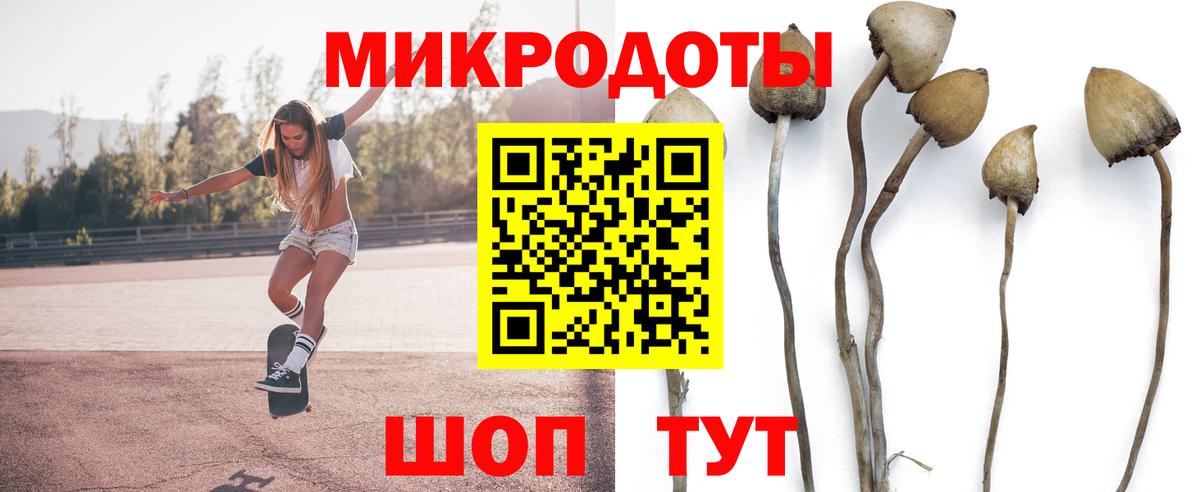 Галлюциногенные грибы мицелий  Псилоцибиновые грибы прущие грибы  Рубцовск  Вход с VPN 