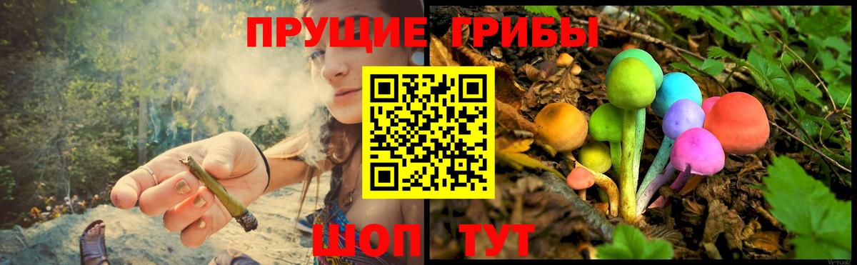 Галлюциногенные грибы прущие грибы Рубцовск